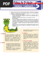 Áreas Naturales Protegidas para Quinto Grado de Primaria