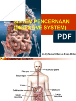 Anatomi Fisiologi Sistem Pencernaan