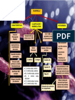 Mapa Salmonella