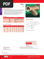 06-TECHNICAL DATA - (C) D298 - Strainers