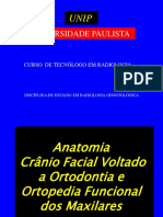 Anatomia Cranio Facial