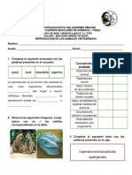 TALLER - REPRODUCCION - EN - LOS - ANIMALES - VERTEBRADOS - PDF Digitable.