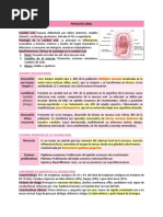 Patologia Del Tracto Digestivo