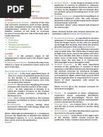 Anatomy & Physiology Reviewer: Stratum Germinativum