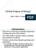 Central Dogma of Biology: DNA RNA Protein