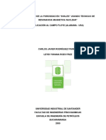 Evaluacion de La Porosidad Usando CMR