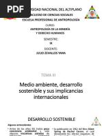 3 Medio Ambiente, Desarrollo Sostenible y Sus Implicancias Internacionales