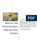 Birds of Van Vihar