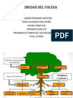 El Arbol de Problemas, Enfermedad de Colera