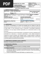 Microbiologia Practica N°3 Morfologia Bacteriana ZN