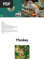 016 Monkey