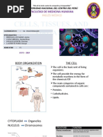 Cells, Tissues, and Organs