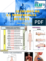 Generalidades de La Morfología Humana