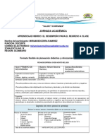 Formato Flexible