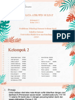 Tetes Mata Atrofin Sulfat - 4fa1-Prak - TFSS