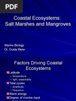 Coastal Ecosystems: Salt Marshes and Mangroves