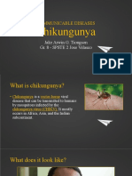 Chikungunya Virus