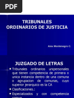 Tribunales de Justicia