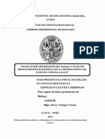 Evaluacion de Bosques de Polylepis Y. Plan de Restauracion Ecologica