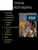 Bases Nutricion Deportiva