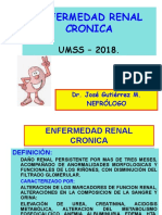 Insuficiencia Renal Cronica.