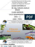 11va Clase Anfibios