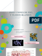 Infecciones de Piel y Tejidos Blandos