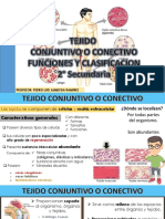 Tejido Conjuntivo