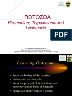 Plasmodium. Leishmania, Tripanosoma