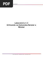 Laboratorio 4.3 - Utilizando Os Comandos Netstat e Nbtstat