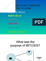 Meiosis Intro Haploid and Diploid