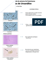 Atlas de Uroanálise PDF