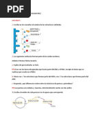 Trabjo Biologia Juan