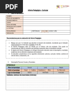 Informe PedagógicoCurricular