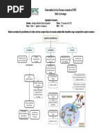 Taller 2 - Agentes Económicos