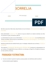 BORRELIA