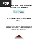 Plan de Trabajo en SST - ARIANA - Rev