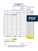 Control Consumo de Combustible Vehiculos Sociedades - 2021