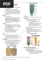 Roots Reviewer PDF