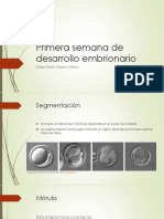 Primera Semana de Desarrollo Embrionario