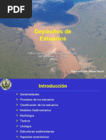 Estuarios