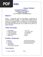 Copia de Copia de Curriculum Vitae Alanna