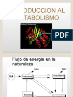 Semana 09-INTRODUCCION AL METABOLISMO-no-edit