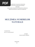 Mulțimea Numerelor Naturale