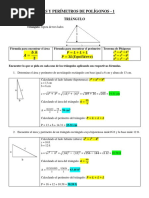 Tema 3 - 2P - Área y Perimetro de Polígonos-1