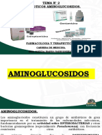 Tema N 2. Antibioticos. Aminoglucosidos