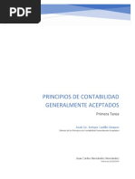 Sintesis de Los Principios de Contabilidad Generalmente Aceptados