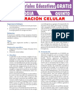 Respiración Celular para Quinto Grado de Secundaria