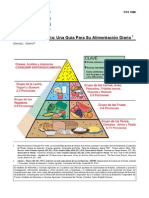 Piramide Alimenticia