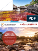 CAÑO CRISTALES BROCHURE 2020 (Cristales Aventura)